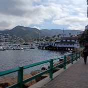 Photo submitted by Daphne