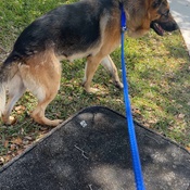 Photo submitted by Sara