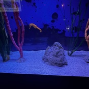 Photo submitted by justina