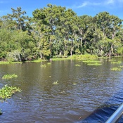 Photo submitted by Ann