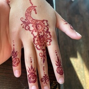 Photo submitted by sandy