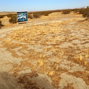 Photo submitted by Armamdo