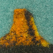 Photo submitted by Brittany