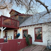 Photo submitted by Katherine