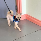 Photo submitted by Yolanda