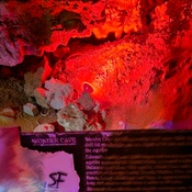 Photo submitted by Angelica