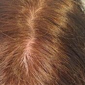 Photo submitted by Tatiana