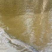 Photo submitted by Alejandro