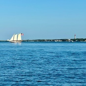 Photo submitted by Pam