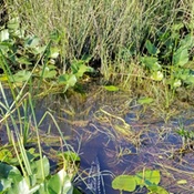 Photo submitted by Jason