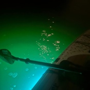 Photo submitted by Kiera