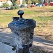 Photo submitted by Ken