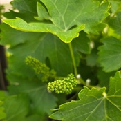 Photo submitted by ERIK