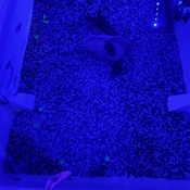 Photo submitted by Rachel