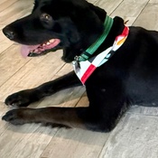 Photo submitted by Johan