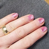 Photo submitted by Guest