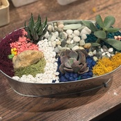 Photo submitted by K