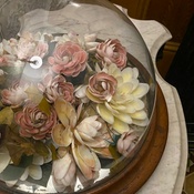 Photo submitted by dorothy