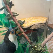 Photo submitted by TeAira