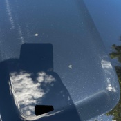 Photo submitted by Guest