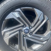 Photo submitted by Doris