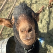 Photo submitted by Mel