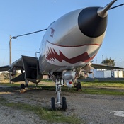 Photo submitted by Nessrine