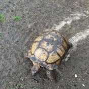 Photo submitted by Tiosha