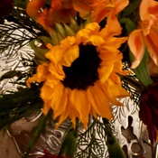 Photo submitted by LS