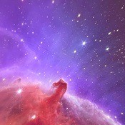 Photo submitted by Jhonny