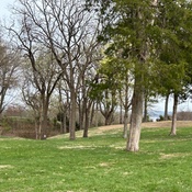 Photo submitted by Nancy