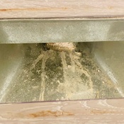 Photo submitted by Judith