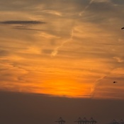 Photo submitted by Guest