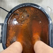 Photo submitted by Guest