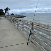 Photo submitted by Nina