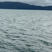 Photo submitted by Andres