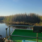 Photo submitted by michael