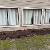 Photo submitted by Edward