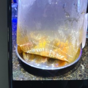 Photo submitted by Francine