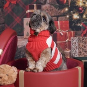 Photo submitted by Michelle