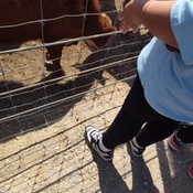 Photo submitted by Mz.