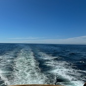 Photo submitted by Jacqueline