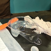 Photo submitted by Sandi