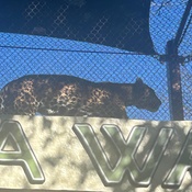 Photo submitted by Angela