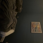 Photo submitted by Joy