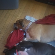 Photo submitted by Megan