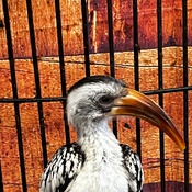 Photo submitted by Guest