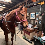 Photo submitted by Guest