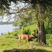 Photo submitted by Phil