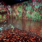 Photo submitted by Guest